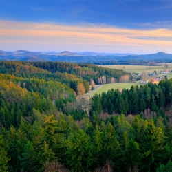 Lesy Českého Švýcarska