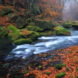 Řeka Kamenice